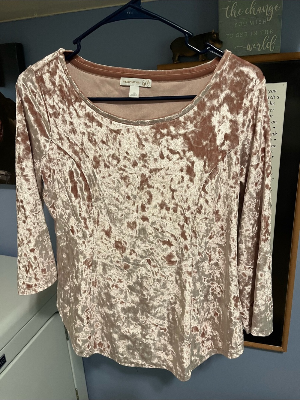 Westport Blush Pink Crushed Velvet Long Sleeve Scoop Top